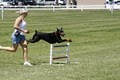 First Friend K-9 Training image 4