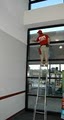 Fish Window Cleaning image 7