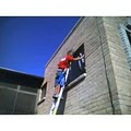 Fish Window Cleaning image 10