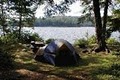 Forked Lake Campsite image 1