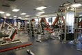 Forza Fitness and Performance Club Interim Facility image 3