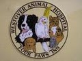 Four Paws Inn/Westover Animal image 2
