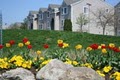 Fox Run Apartments/Townhouses image 6