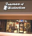 Frames of Distinction image 2