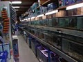 Frank & Peg's Fish & Pet Place image 3