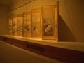 Freer Gallery of Art image 5