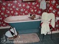 Granny Lou's Bed & Breakfast image 9