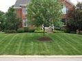 Grassy Greens, INC. - Lawn Care and Design image 5