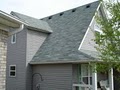 Green Goose Roof & Exterior Cleaning LLC image 9