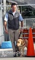 Guide Dogs for the Blind image 3