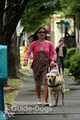 Guide Dogs for the Blind image 9