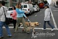Guide Dogs for the Blind logo