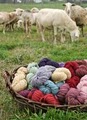 Halcyon Yarn image 8