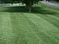 Hamilton Lawn Care    (Serving your area) image 3