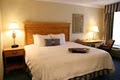 Hampton Inn Caryville-I-75/Cove Lake-State Park image 8