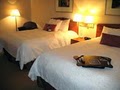 Hampton Inn-Clovis image 7