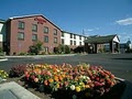 Hampton Inn Medford image 4