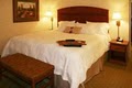 Hampton Inn Pocatello, Id image 9