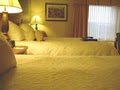 Hampton Inn by Hilton - Lexington image 5