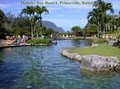 Hanalei Bay Resort image 3