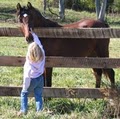 Heritage Harvest Farm image 1