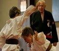 Hillcrest Academy Of Goshin Jujitsu & Karate image 2
