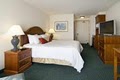 Hilton Garden Inn Albany Airport image 4