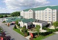 Hilton Garden Inn New York/Staten Island image 10