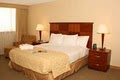 Hilton Ontario Airport image 8