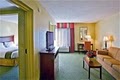 Holiday Inn Express Hotel Tampa-Brandon image 5