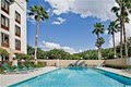 Holiday Inn Express Hotel Tampa-Brandon image 8