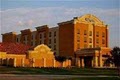 Holiday Inn Hotel Frisco (Plano/Stone Briar) image 3