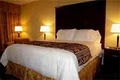 Holiday Inn Hotel Frisco (Plano/Stone Briar) image 10