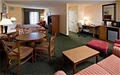 Holiday Inn Hotel Minneapolis Nw-Elk River image 3
