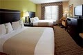 Holiday Inn Hotel Statesboro-University Area image 5