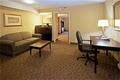 Holiday Inn Hotel & Suites Beaumont-Plaza (I-10 & Walden) image 5