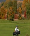 Homestead At Fox Hollow Golf logo