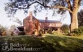 Homestead Bed & Breakfast image 8