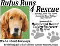 Homeward Bound Golden Retriever Rescue & Sanctuary image 8