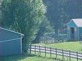 Horse Around Acres image 1