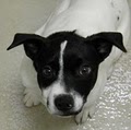 Humane Society of Indianapolis image 2