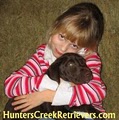 HuntersCreekRetrievers.com image 3