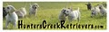 HuntersCreekRetrievers.com image 1