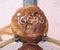 Iggy's Bread Ltd image 5
