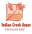 Indian Creek Angus logo