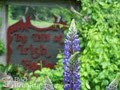 Inn At Irish Hollow image 10