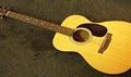 Island Guitars image 2