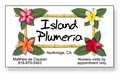 Island Plumeria image 2