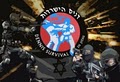 Israeli Reality Based Martial Arts & Self Defense image 3