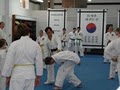 Jae H. Kim Taekwondo Institute image 5